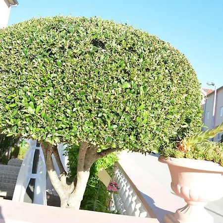 Apartment Vodice